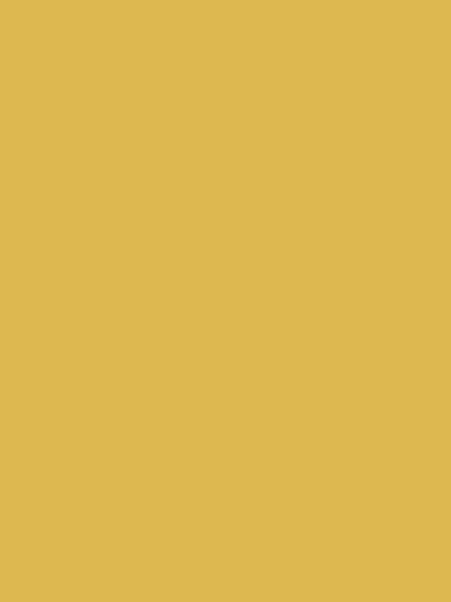 Urbancabinet.shopfc2f8733b3 2
